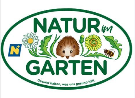 Natur_im_Garten.JPG